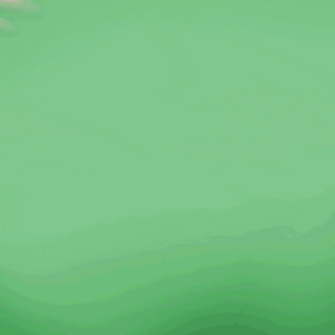content animation